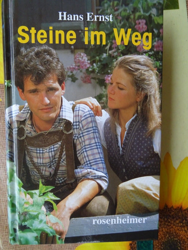 Hans ernst steine - steine, im
